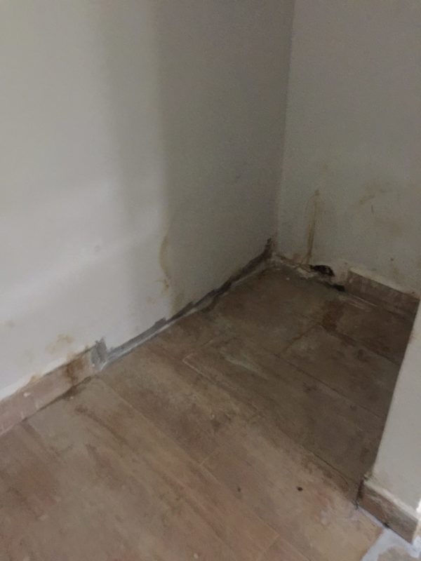 20181218 base of cellar stairs