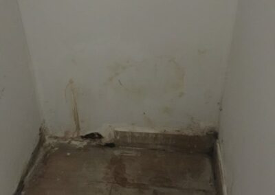 20181218 base of stairs showing serious damp
