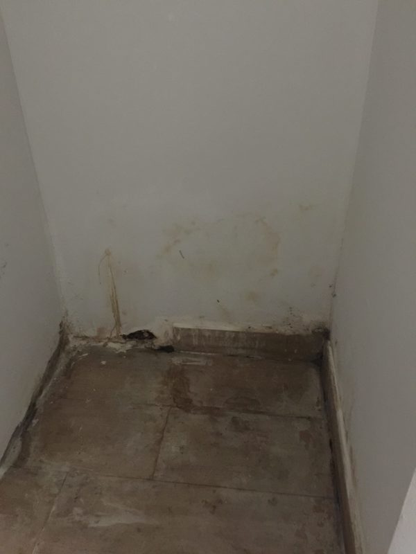 20181218 base of stairs