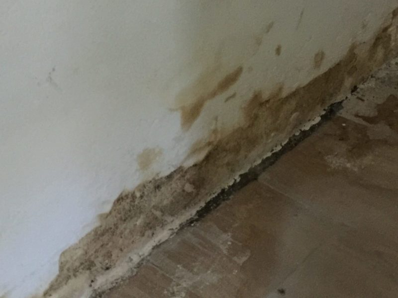 20181021 cellar damp