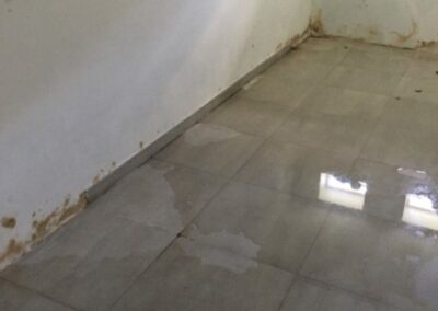 20181021 cellar pools of milky water