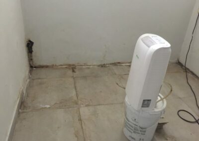 20181218 cellar with dehumidifier