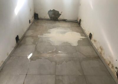 20190530 cellar with exposed patches