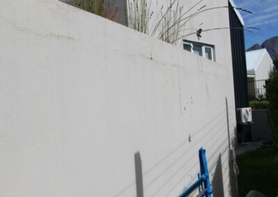 Cracked reed bed wall