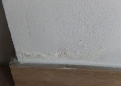 One of many damp points in the house