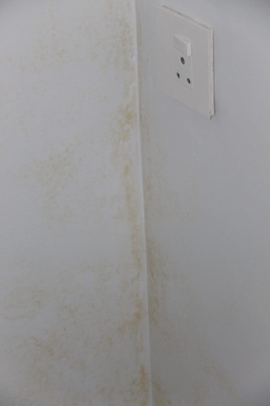 20201017 damp re-appearing in cellar