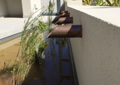 New reed bed